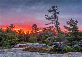 Картинка природа восходы закаты лес заря камни
