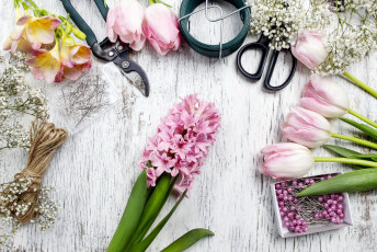 Картинка цветы разные+вместе гиацинт гипсофила тюльпаны фрезии