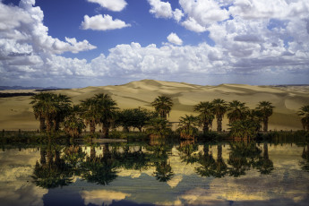 Картинка природа пустыни оазис