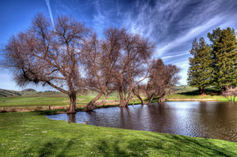 Картинка природа реки озера водоем деревья