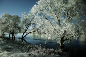 Картинка природа зима река деревья иней