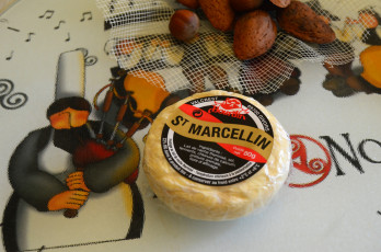 Картинка saint+marcellin еда сырные+изделия сыр