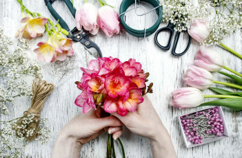 Картинка цветы разные+вместе фрезии гипсофила тюльпаны