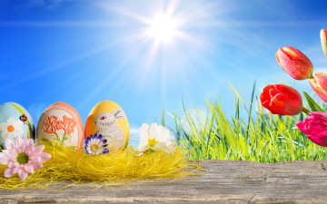 Картинка праздничные пасха happy easter spring sunshine eggs tulips весна солнце яйца цветы тюльпаны трава