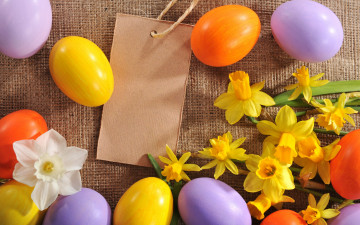 Картинка праздничные пасха нарциссы цветы яйца spring flowers eggs easter