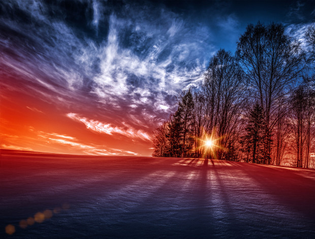 Обои картинки фото природа, восходы, закаты, деревья, солнце, закат, норвегия, снег, norway