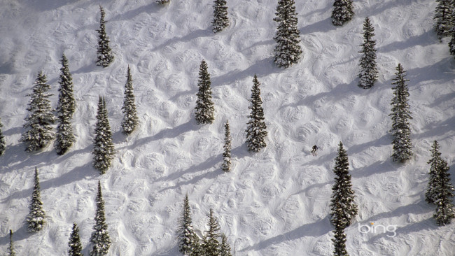 Обои картинки фото природа, зима, аспен, колорадо, сша, склон, снег, деревья, ель, лыжник