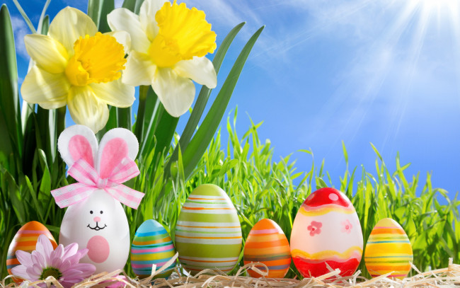 Обои картинки фото праздничные, пасха, happy, солнце, весна, flowers, eggs, sunshine, spring, easter, трава, нарциссы, цветы, яйца