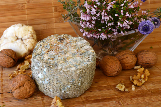 Обои картинки фото queso con nueces de vilafant, еда, сырные изделия, сыр