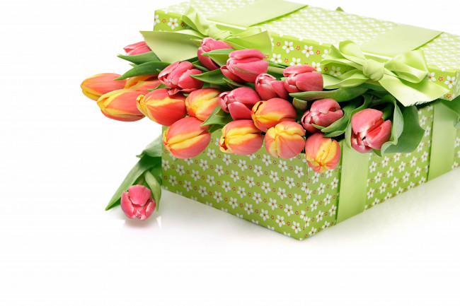 Обои картинки фото цветы, тюльпаны, коробка, бутоны, бант