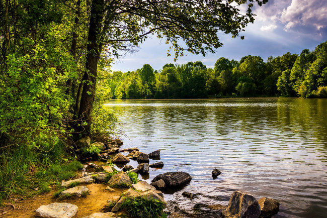 Обои картинки фото centennial lake  park  columbia  сша, природа, реки, озера, park, lake, камни, лес, озеро, columbia, centennial