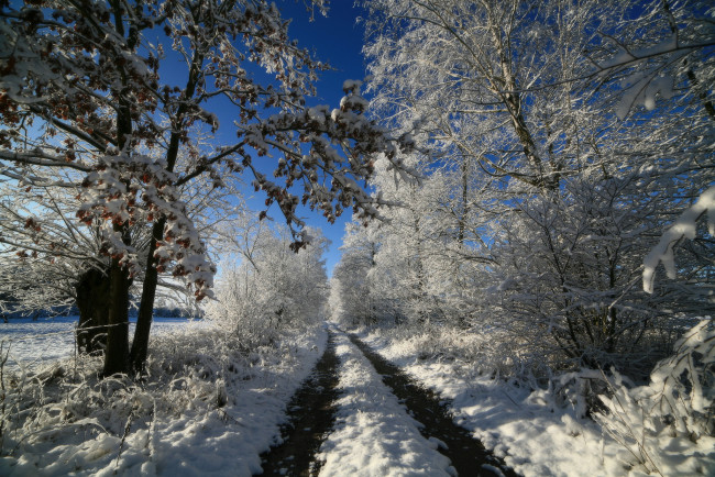 Обои картинки фото природа, зима, лес, колея, снег