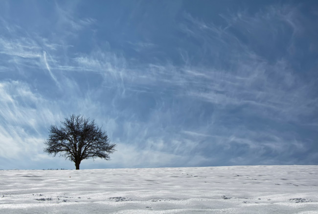 Обои картинки фото природа, зима, небо, снег, дерево, азия, этногеографическая, область, курдистан