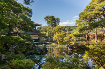 обоя kyoto, города, киото , Япония, храм, парк