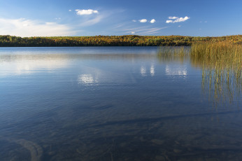 Картинка природа реки озера пруд вода озеро небо растение