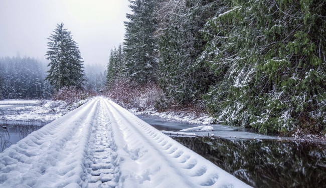 Обои картинки фото природа, дороги, зима, лес, дорога