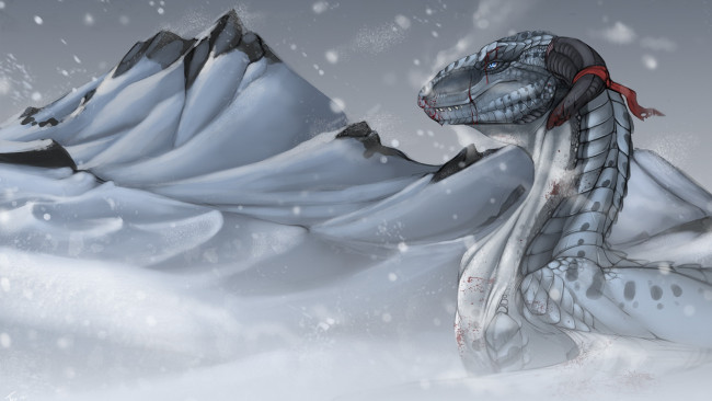 Обои картинки фото фэнтези, драконы, холод, горы, в, снегу, раненый, кровь, зима, белый, дракон