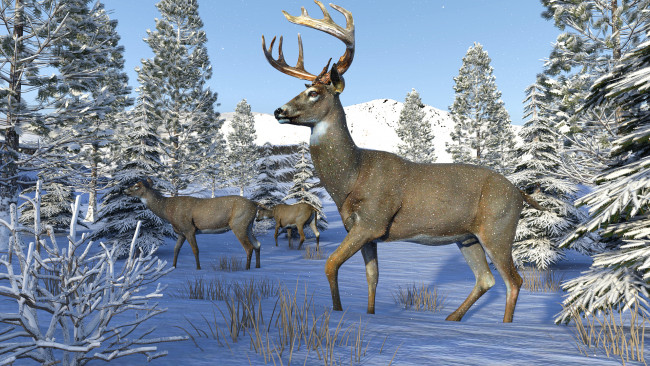Обои картинки фото 3д графика, животные , animals, лес, снег, олени
