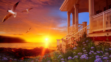 Картинка рисованное природа чайки море берег дом цветы закат