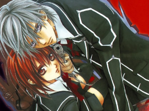 Картинка аниме vampire knight