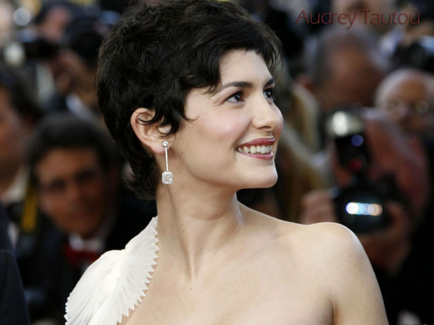 Обои картинки фото Audrey Tautou, девушки