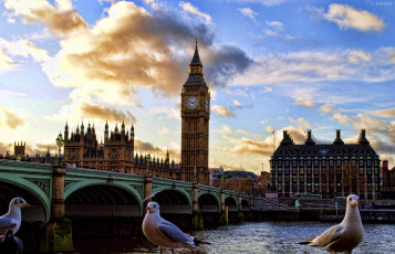 обоя города, лондон, великобритания, чайки, биг, бен