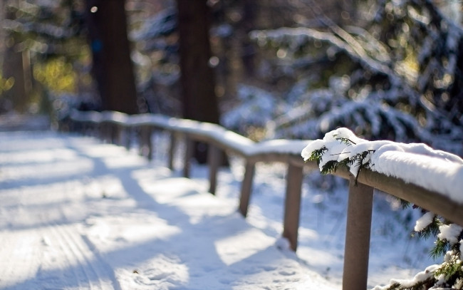 Обои картинки фото природа, зима, ёлки, обочина, снег