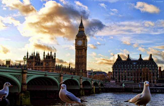 Обои картинки фото города, лондон, великобритания, чайки, биг, бен