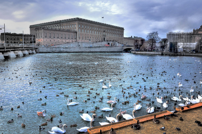 Обои картинки фото города, стокгольм, швеция, stockholm, город