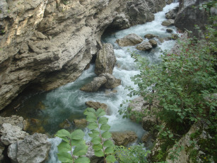 Картинка река+белая природа вода кавказ