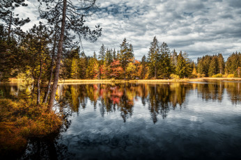 Картинка природа реки озера лес река облака отражение