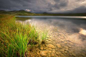 Картинка природа реки озера трава отмель река