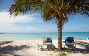 Картинка природа тропики beach accessories vacation sun лето пляж море отдых пальмы песок summer