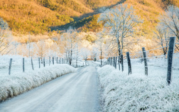 Картинка природа зима cades cove tennessee hoar frost cold sunlight mountains забор иней деревья