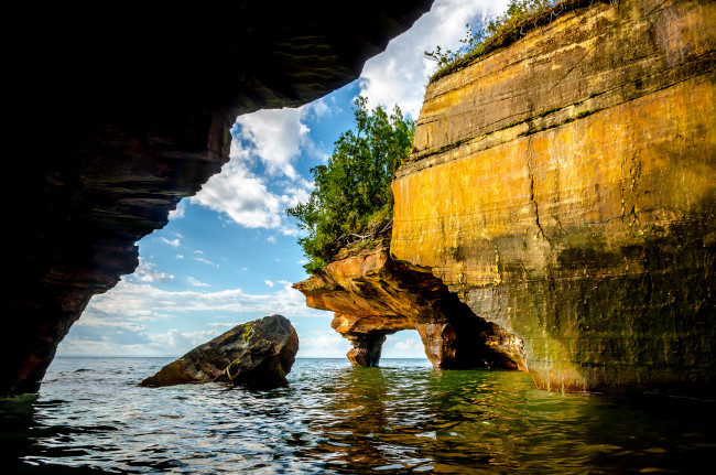 Обои картинки фото природа, побережье, деревья, скала, океан