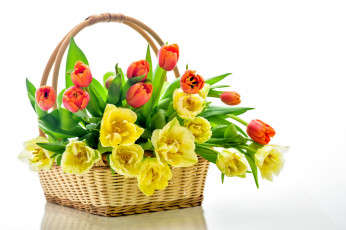 Картинка цветы тюльпаны желтые корзинка