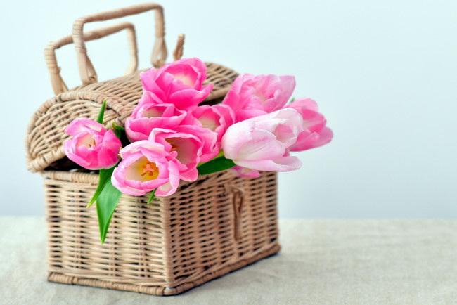 Обои картинки фото цветы, тюльпаны, розовые, корзинка
