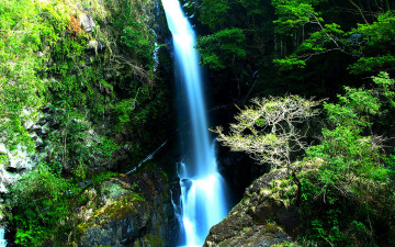 Картинка природа водопады дорога водопад камни скала ворота лес