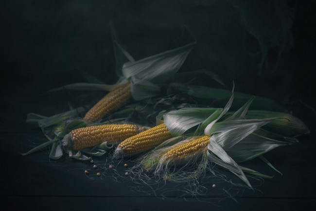 Обои картинки фото еда, кукуруза, снедь