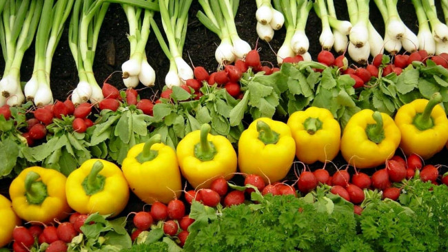 Обои картинки фото еда, овощи, редис, перец, лук