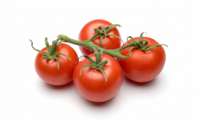 Обои картинки фото еда, помидоры, ветка, томаты