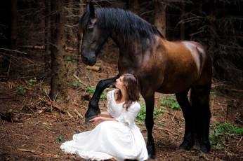 Картинка девушки -+брюнетки +шатенки брюнетка белое платье лошадь поза