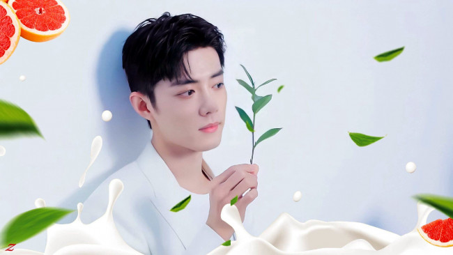 Обои картинки фото мужчины, xiao zhan, актер, листья, ветка, грейпфрут
