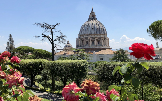Обои картинки фото basilica sancti petri, vatican gardens, vatican city, города, рим,  ватикан , италия, basilica, sancti, petri, vatican, gardens, city