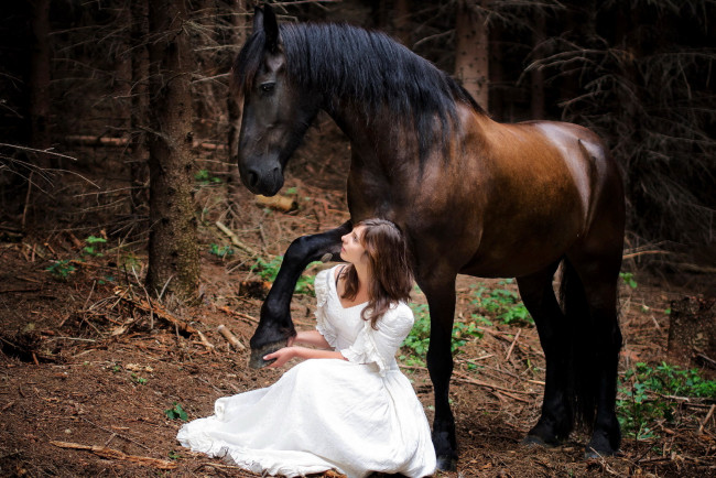 Обои картинки фото девушки, - брюнетки,  шатенки, брюнетка, белое, платье, лошадь, поза
