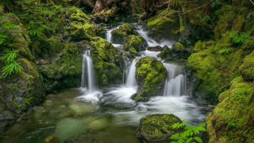 Картинка nile+creek+waterfall british+columbia природа водопады nile creek waterfall british columbia