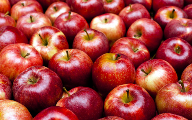 Обои картинки фото еда, яблоки, краснобокие, много, макро