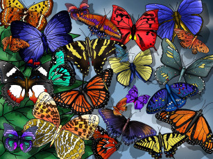 обоя рисованное, животные,  бабочки, бабочки