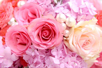 Картинка цветы разные вместе гортензия розы