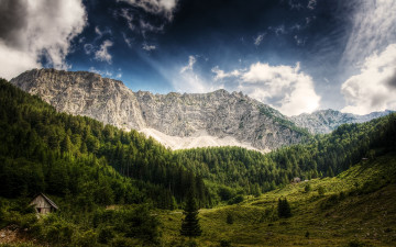 Картинка природа горы деревья лес австрия austria